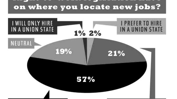 new-job-location-survey-pie-chart