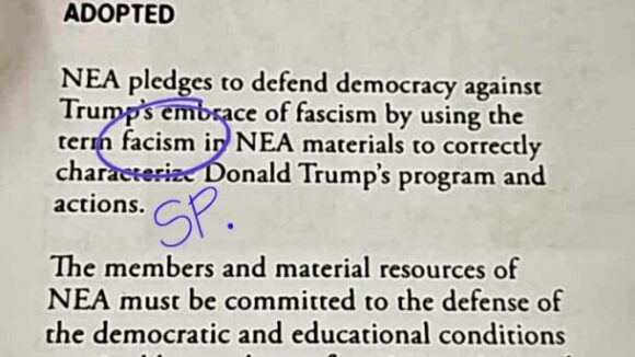 Union Dons Bash 77 Million Voters as ‘Fascists’ 
